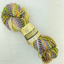 Load image into Gallery viewer, Feederbrook Farm Entropy  Superwash Merino Bulky
