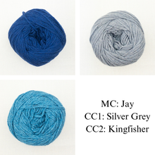 Load image into Gallery viewer, Honey Petal Cardigan Knitting Kit | Queensland United