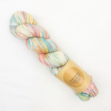 Load image into Gallery viewer, Multicolored skein of Lavender Fiber Co Vintage Worsted yarn