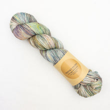 Load image into Gallery viewer, Multicolored skein of Lavender Fiber Co Vintage Worsted yarn