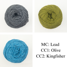 Load image into Gallery viewer, Forsythian Pullover Knitting Kit | Queensland United