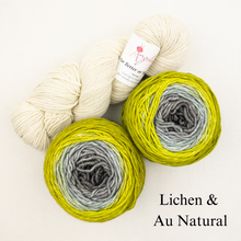 Load image into Gallery viewer, Slip Stitch Scarf Knitting Kit | Anzula For Better or Worsted, Freia Superwash Merino Silk Worsted & Knitting Pattern (#089)