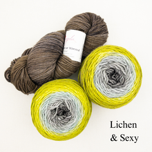 Load image into Gallery viewer, Slip Stitch Scarf Knitting Kit | Anzula For Better or Worsted, Freia Superwash Merino Silk Worsted & Knitting Pattern (#089)