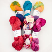 Load image into Gallery viewer, Lorna's Laces Shepherd Worsted