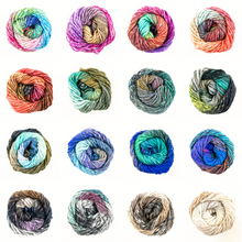 Load image into Gallery viewer, Noro Silk Garden