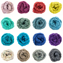 Load image into Gallery viewer, Noro Silk Garden Solo