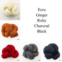 Load image into Gallery viewer, Five skeins of Cascade 128 yarn in colors cream, orange, red, grey, and black.