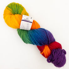 Load image into Gallery viewer, A rainbow skein of Lorna's Lace Shepherd Worsted yarn