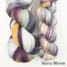 Load image into Gallery viewer, Tidepools Shawlette Knitting Kit | Artyarns Ensemble, Merino Cloud, & Knitting Pattern (#414)