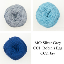 Load image into Gallery viewer, Honey Petal Cardigan Knitting Kit | Queensland United