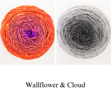 Load image into Gallery viewer, Asali Shawl Knitting Kit | Freia Superwash Merino Silk Worsted