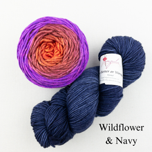 Load image into Gallery viewer, Brioche ShareCare Hat Knitting Kit | Freia Handpaints Superwash Merino Silk Worsted & Anzula For Better or Worsted