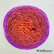 Load image into Gallery viewer, Chevron Baby Hat Knitting Kit | Freia Handpaints Superwash Merino Silk Sport &amp; Knitting Pattern (#290)
