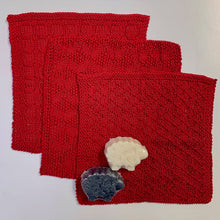 Load image into Gallery viewer, Pima Cotton Washcloths Knitting Kit | Cascade Ultra Pima Cotton &amp; Knitting Pattern (#212)
