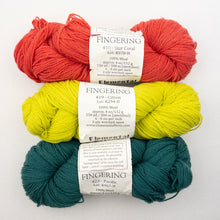 Load image into Gallery viewer, Cormo Shawlette Knitting Kit | Elemental Affects Cormo & Knitting Pattern (#341)