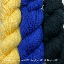 Load image into Gallery viewer, Game Day Striped Scarf Knitting Kit | Cascade 128 Superwash & Knitting Pattern (#281B)