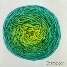 Load image into Gallery viewer, Ombré Elf Hat Knitting Kit | Freia Handpaints Superwash Merino Silk Sport & Knitting Pattern (#301)