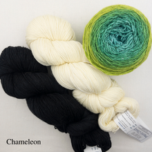 Load image into Gallery viewer, Ombre Woven Scarf Kit | Artyarns Merino Cloud, Freia Superwash Merino Silk Sport & Weaving Pattern (#399)