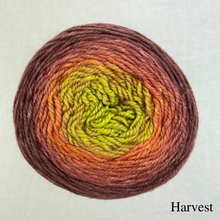 Load image into Gallery viewer, Ombré Elf Hat Knitting Kit | Freia Handpaints Superwash Merino Silk Sport & Knitting Pattern (#301)