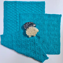 Load image into Gallery viewer, Pima Cotton Washcloths Knitting Kit | Cascade Ultra Pima Cotton & Knitting Pattern (#212)