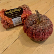Load image into Gallery viewer, Pumpkin Spice Knitting Kit | Noro Silk Garden