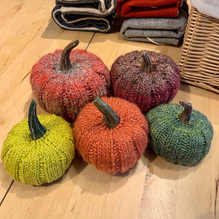 Pumpkin Spice Knitting Kit | Noro Silk Garden
