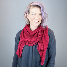 Load image into Gallery viewer, Artyarns 400 Yard Shawl Knitting Kit | Artyarns Merino Cloud, Beaded Mohair and Sequins & Knitting Pattern