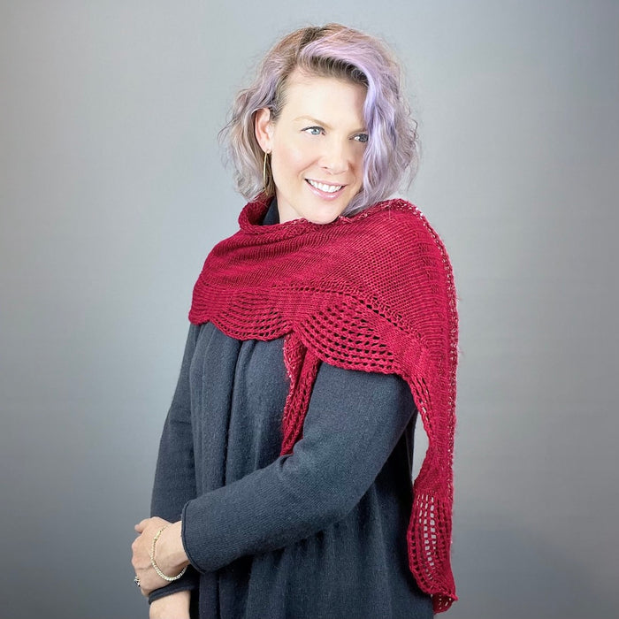 Artyarns 400 Yard Shawl Knitting Kit | Artyarns Merino Cloud, Beaded Mohair and Sequins & Knitting Pattern