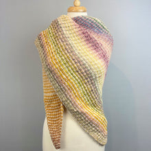 Load image into Gallery viewer, Inclinations Shawl Knitting Kit | Feederbrook Farm Entropy Superwash Merino DK