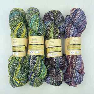 Inclinations Shawl Knitting Kit | Feederbrook Farm Entropy Superwash Merino DK