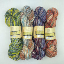 Load image into Gallery viewer, Inclinations Shawl Knitting Kit | Feederbrook Farm Entropy Superwash Merino DK