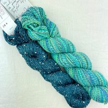 Load image into Gallery viewer, Artyarns Ensemble & Tanglewood Ribbed Cowl Knitting Kit | Artyarns Ensemble, Tanglewood, & Knitting Pattern (#296B)