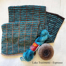 Load image into Gallery viewer, Slip Stitch Scarf Knitting Kit | Jade Sapphire 6-Ply Mongolian Cashmere, Freia Superwash Merino Silk Sport & Knitting Pattern (#089)