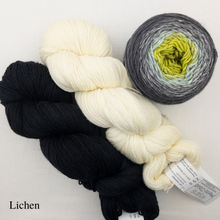 Load image into Gallery viewer, Ombre Woven Scarf Kit | Artyarns Merino Cloud, Freia Superwash Merino Silk Sport & Weaving Pattern (#399)