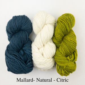 Striped Holiday Stocking Knitting Kit | Manos del Uruguay Wool Clasica & Knitting Pattern (#111)
