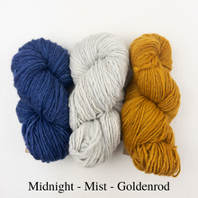 Load image into Gallery viewer, Striped Holiday Stocking Knitting Kit | Manos del Uruguay Wool Clasica & Knitting Pattern (#111)
