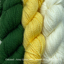 Load image into Gallery viewer, Game Day Striped Scarf Knitting Kit | Cascade 128 Superwash & Knitting Pattern (#281B)