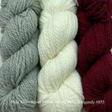 Load image into Gallery viewer, Game Day Striped Hat Knitting Kit | Cascade 128 Superwash & Knitting Pattern (#281)