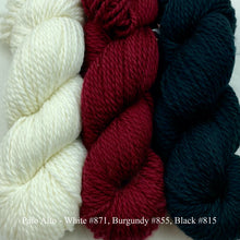 Load image into Gallery viewer, Game Day Striped Scarf Knitting Kit | Cascade 128 Superwash & Knitting Pattern (#281B)