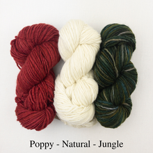 Load image into Gallery viewer, Striped Holiday Stocking Knitting Kit | Manos del Uruguay Wool Clasica & Knitting Pattern (#111)