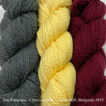 Load image into Gallery viewer, Game Day Striped Scarf Knitting Kit | Cascade 128 Superwash & Knitting Pattern (#281B)