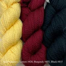 Load image into Gallery viewer, Game Day Striped Scarf Knitting Kit | Cascade 128 Superwash & Knitting Pattern (#281B)