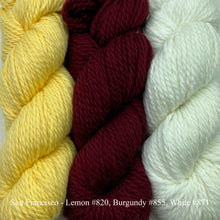 Load image into Gallery viewer, Game Day Striped Scarf Knitting Kit | Cascade 128 Superwash & Knitting Pattern (#281B)
