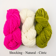 Load image into Gallery viewer, Striped Holiday Stocking Knitting Kit | Manos del Uruguay Wool Clasica & Knitting Pattern (#111)