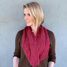 Load image into Gallery viewer, Pashmina Cowls Knitting Kit | Madelinetosh Pashmina &amp; Knitting Pattern (#221)
