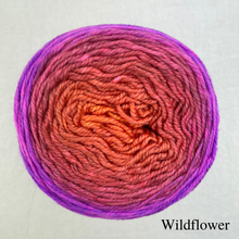 Load image into Gallery viewer, Ombré Elf Hat Knitting Kit | Freia Handpaints Superwash Merino Silk Sport & Knitting Pattern (#301)
