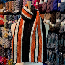 Load image into Gallery viewer, Game Day Striped Scarf Knitting Kit | Cascade 128 Superwash & Knitting Pattern (#281B)
