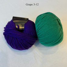 Load image into Gallery viewer, Ann Norling Kid's Fruit Caps Knitting Kit | Karabella Aurora 8 & Knitting Pattern (#140)