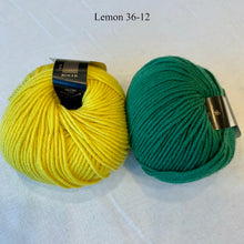 Load image into Gallery viewer, Ann Norling Kid's Fruit Caps Knitting Kit | Karabella Aurora 8 & Knitting Pattern (#140)