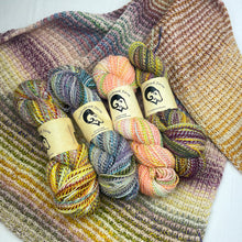 Load image into Gallery viewer, Inclinations Shawl Knitting Kit | Feederbrook Farm Entropy Superwash Merino DK